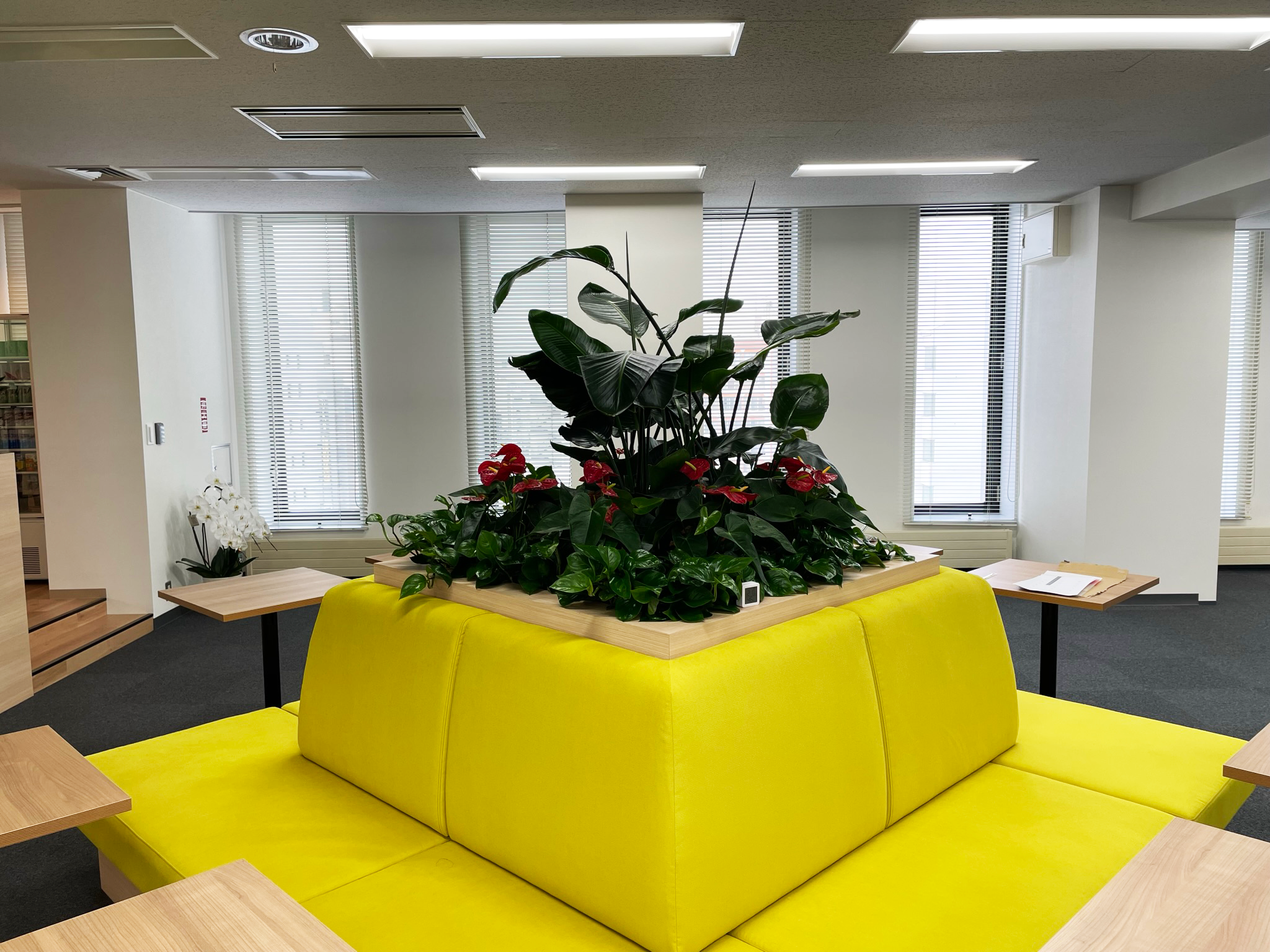 https://and-green.com