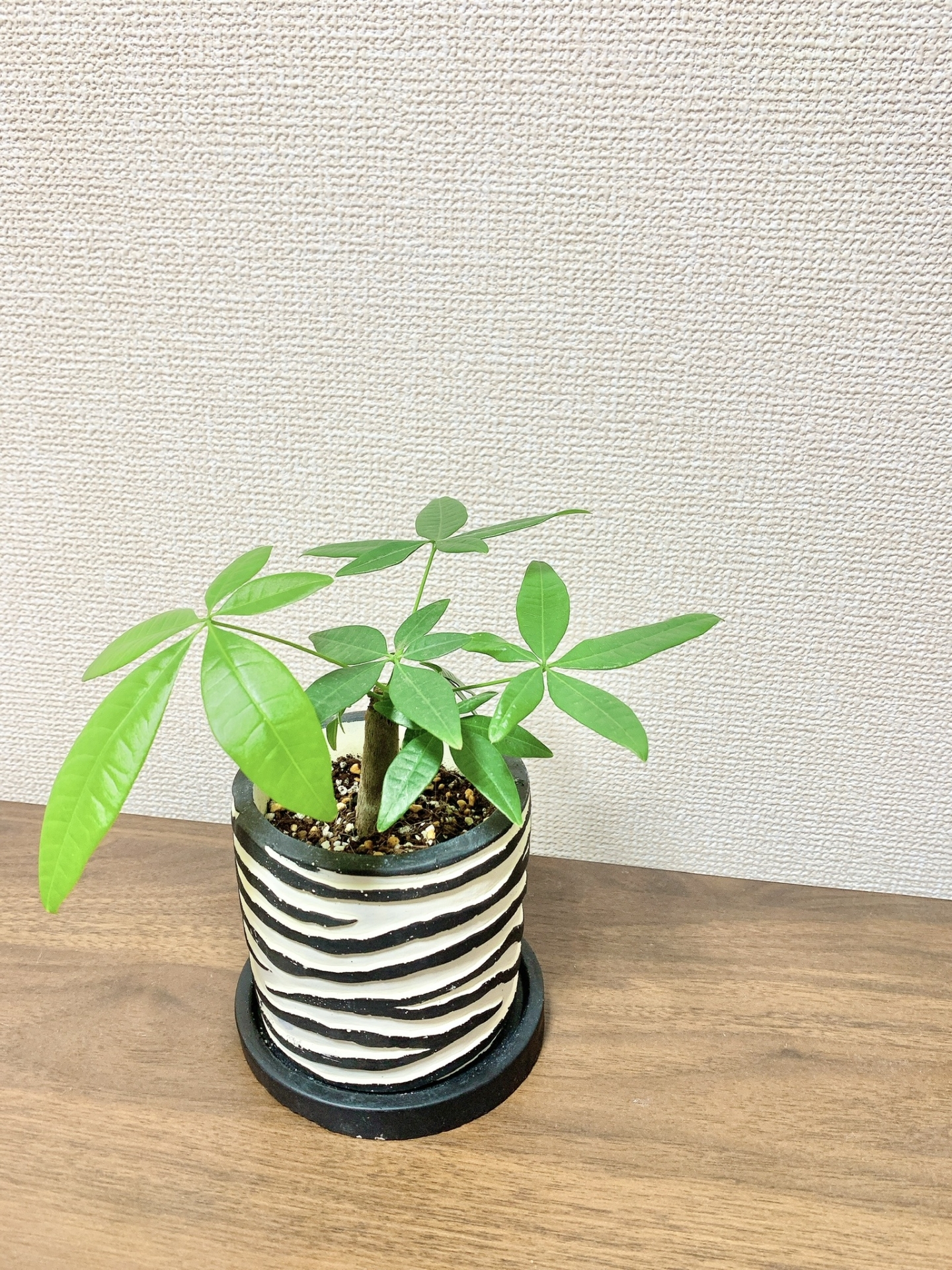 https://and-green.com