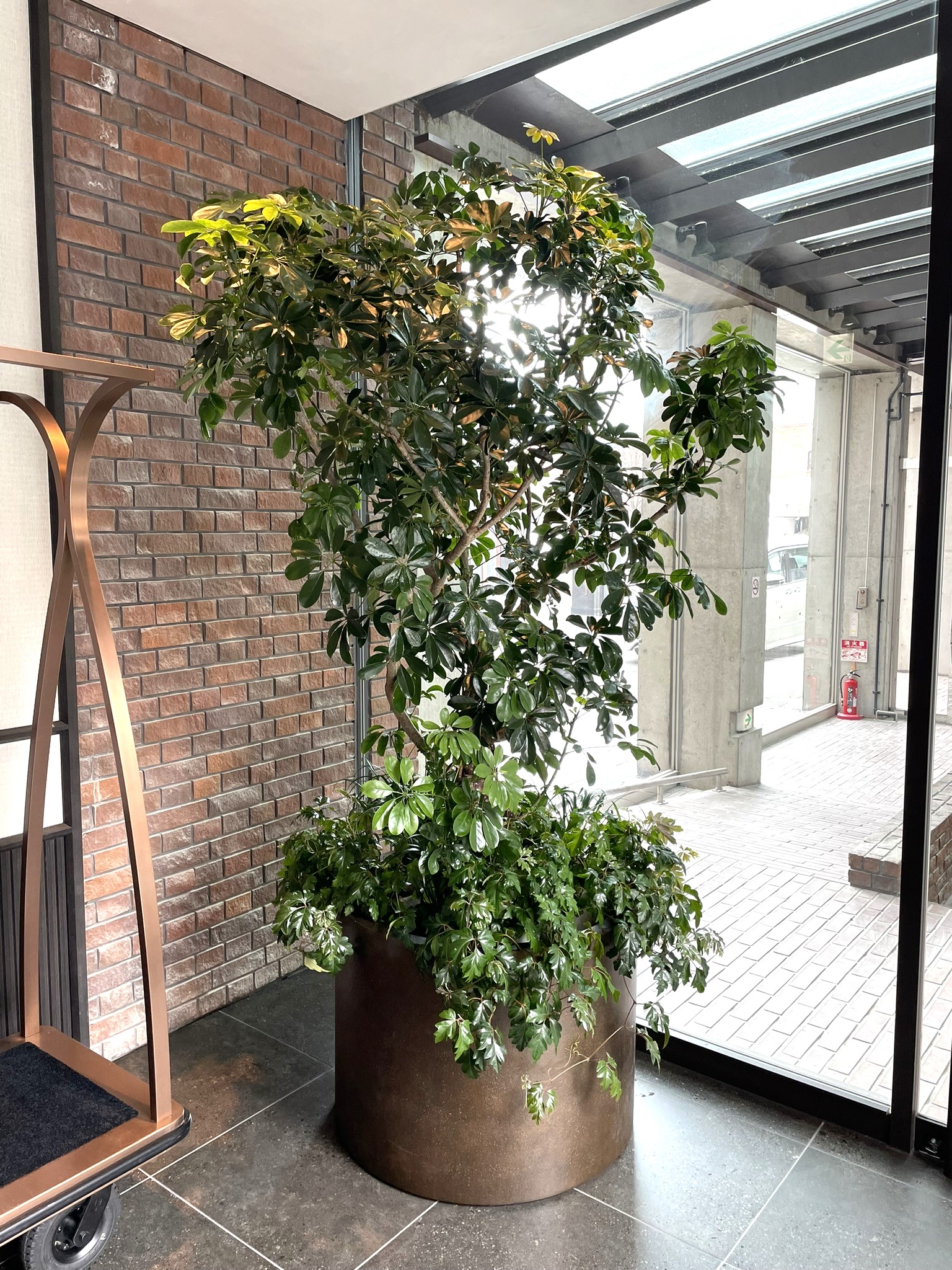 https://and-green.com