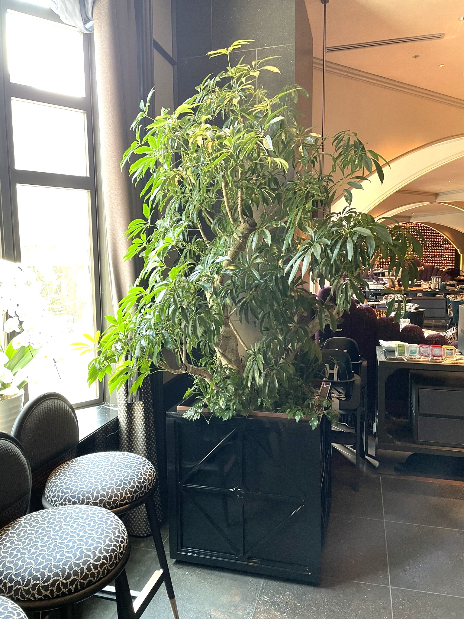 https://and-green.com
