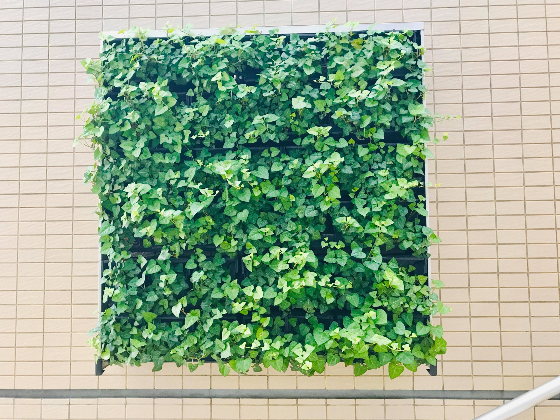 https://and-green.com