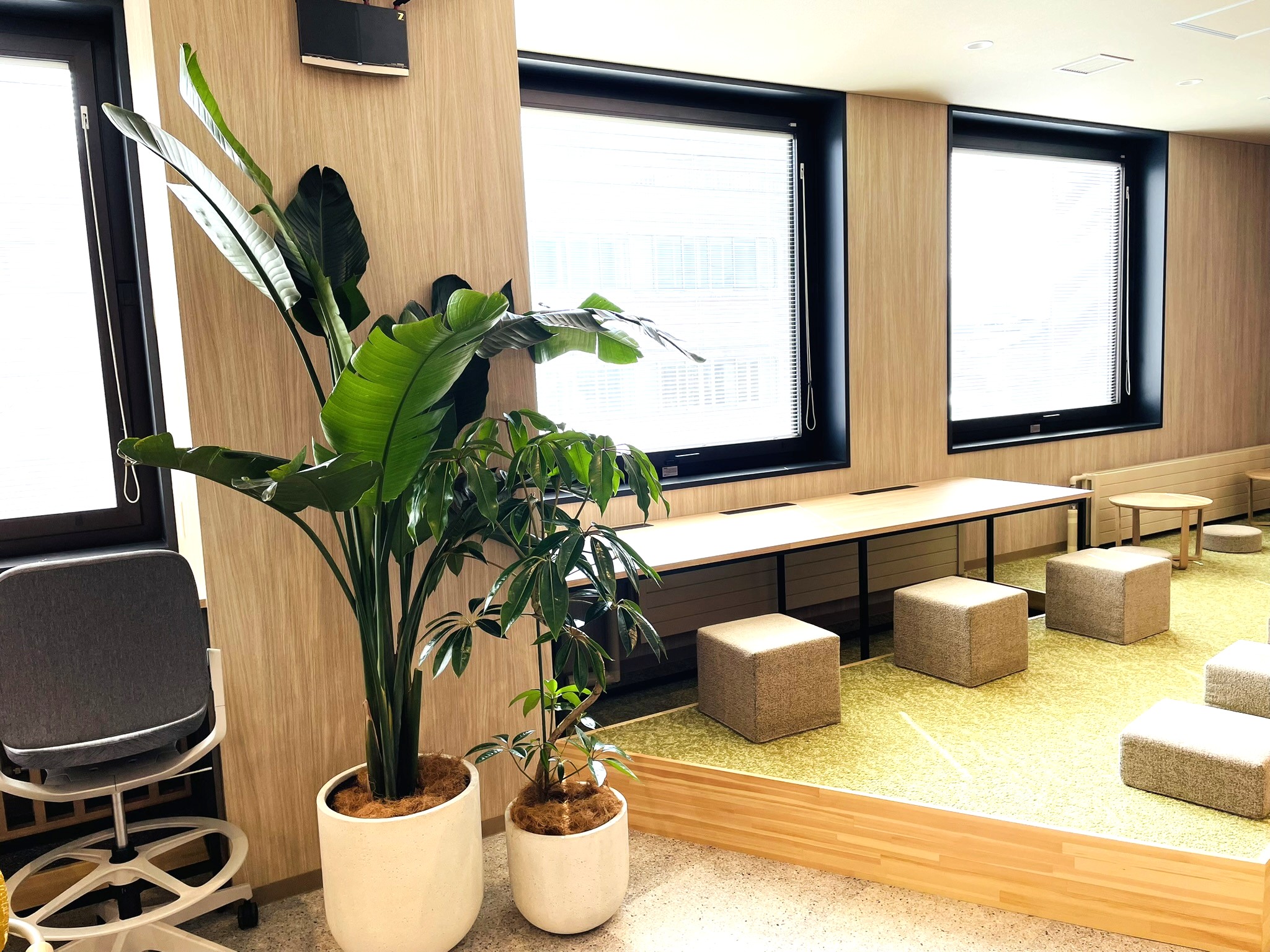 https://and-green.com
