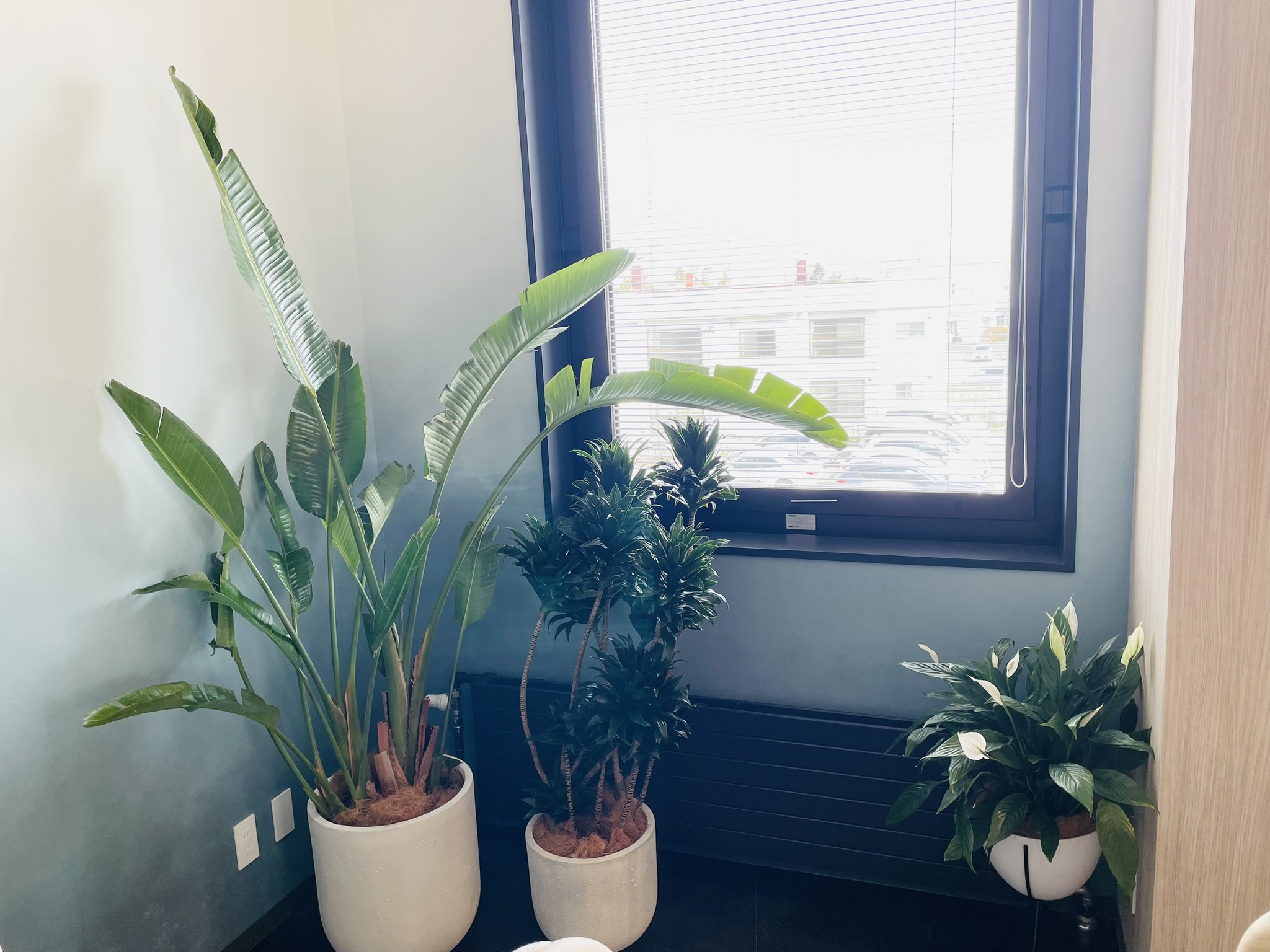 https://and-green.com
