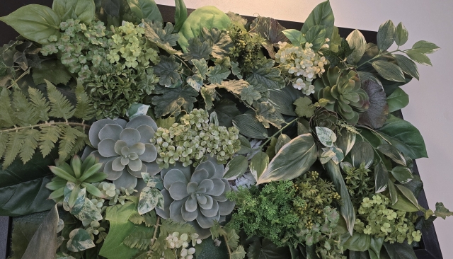 グリーンウォールの作り方を解説!自分でやる方法やプロをおすすめする理由