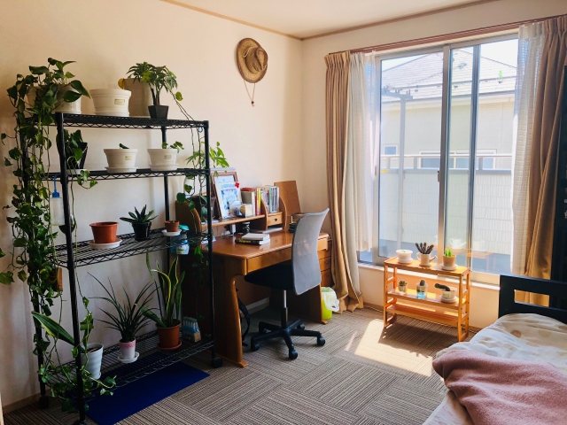 観葉植物のメンテナンス頻度とは？メンテナンスが必要な理由も解説