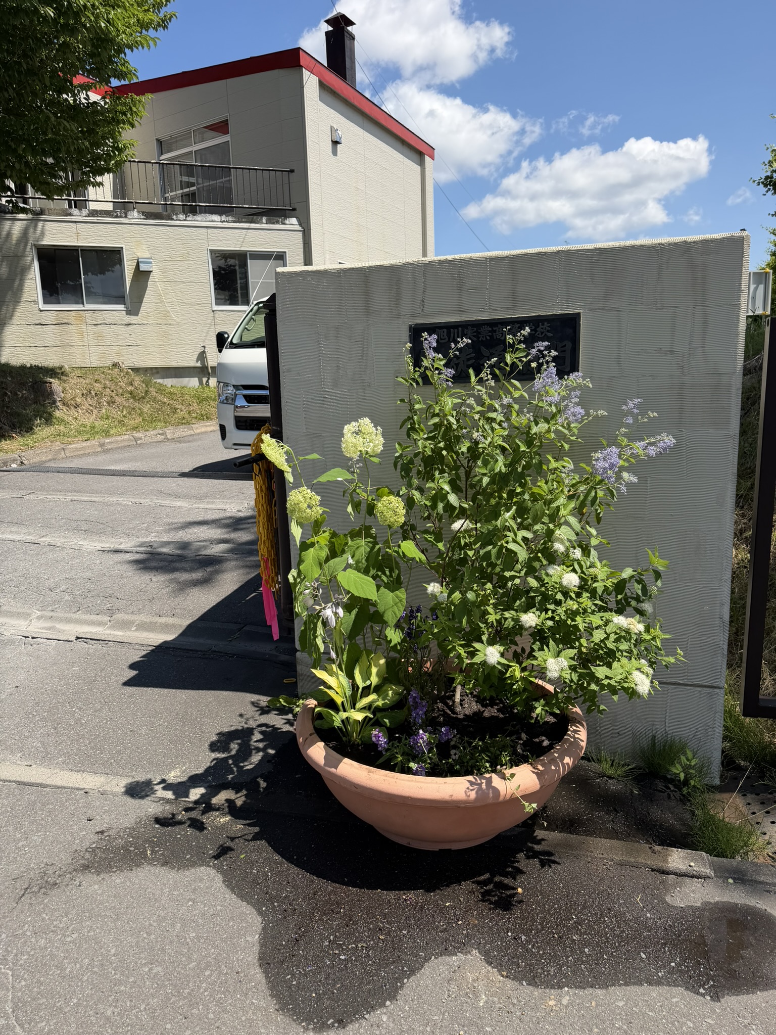 https://and-green.com